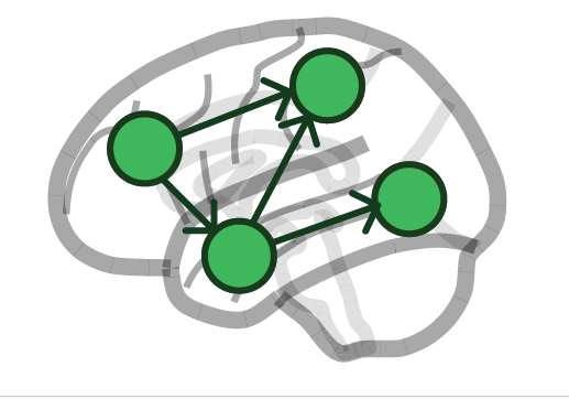 thumbnail for Recovering Whole-Brain Causal Connectivity under Indirect Observation with Appications to Human EEG and fMRI